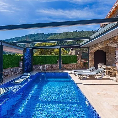 Ege Stone Korunakli Ve Isitmali Havuz Jakuzi フェティエ